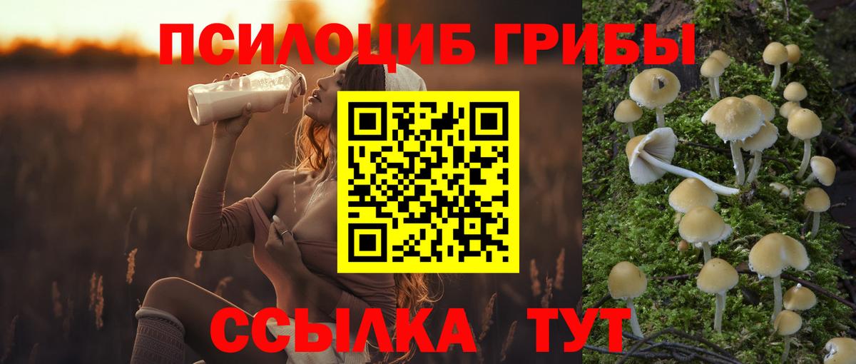 Псилоцибиновые грибы Psilocybe  Вход с VPN  Ковров 